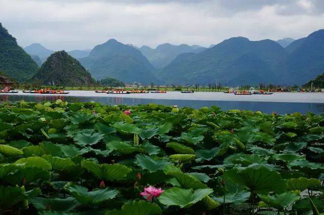 2020年云南康養(yǎng)旅游發(fā)展具備哪些資源優(yōu)勢？現(xiàn)狀如何？