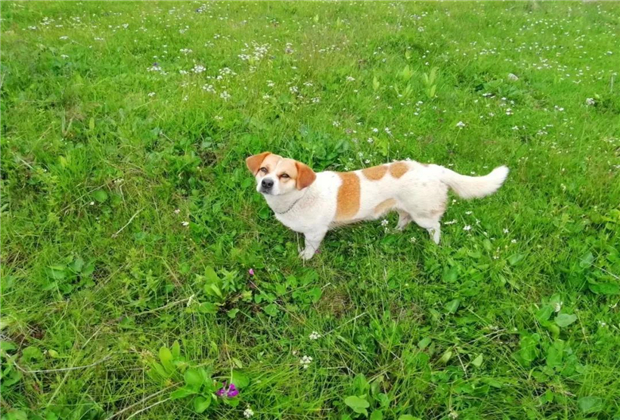 麗江沒有農村，只有世外桃源……