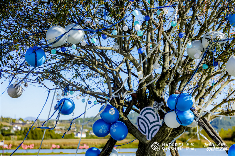 麗江拉市海茶馬古道候鳥(niǎo)灣戶(hù)外基地
