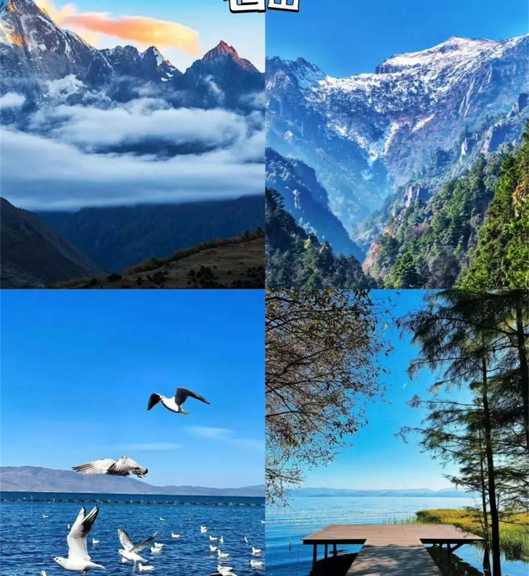 大理包車自由行必看|記住這幾點，不迷路